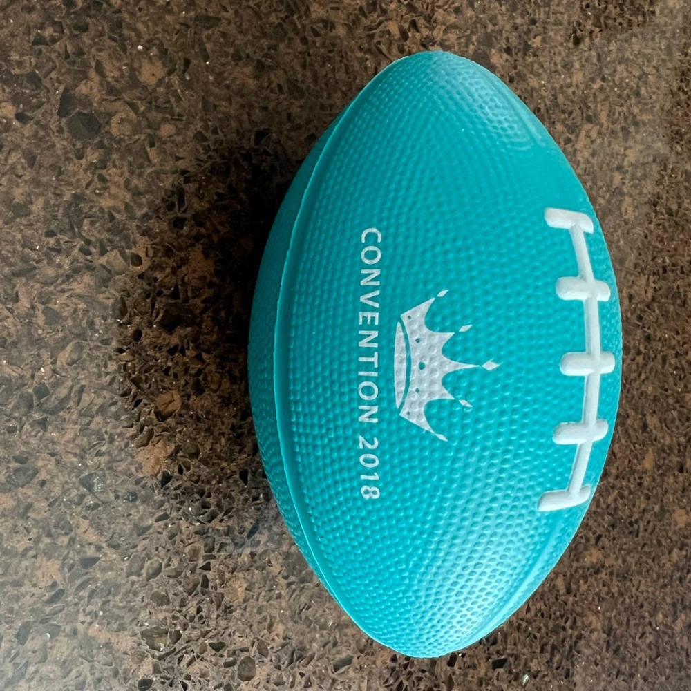 ZTA 2018 Convention Football
